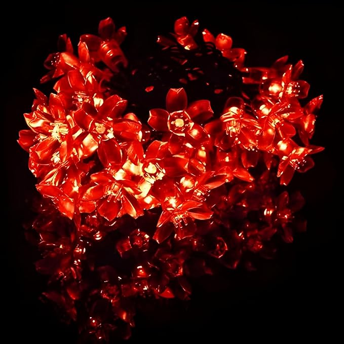 SAMEILI Fairy led Light 16 led 3 Meter Length Lights of Home Decoration Diwali, Christmas, Lights of Home Decoration (Red)