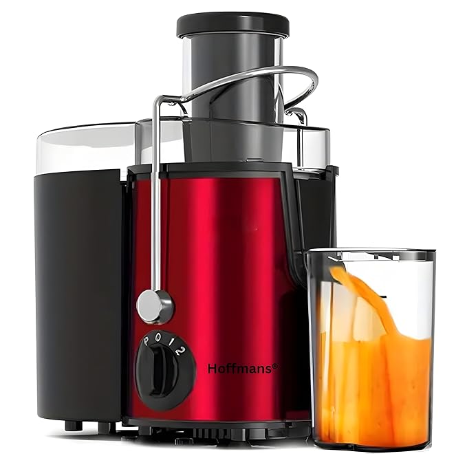 V.E.S.P.A - Juicer Extractor Stainless Steel, Fruit Vegetable Food Mixer Blender, Juice Machine 2 Speed Setting and Anti-drip BPA-Free