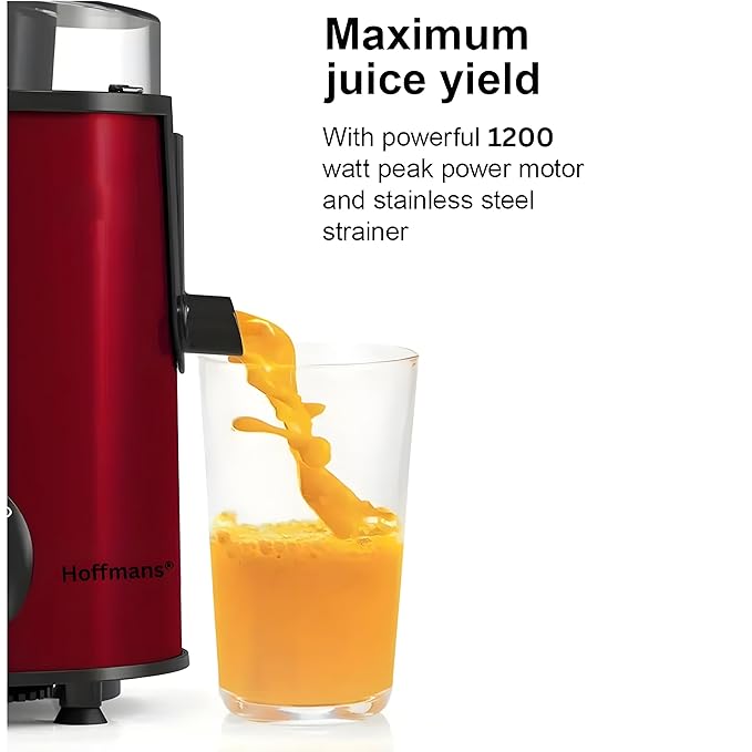 V.E.S.P.A - Juicer Extractor Stainless Steel, Fruit Vegetable Food Mixer Blender, Juice Machine 2 Speed Setting and Anti-drip BPA-Free